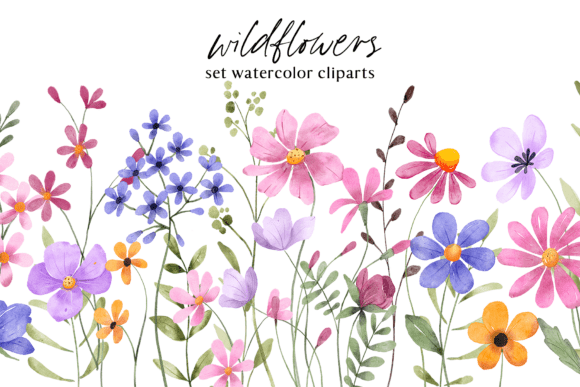 Download Floral Watercolor Set, Flowers, Leaves. - Color Collection