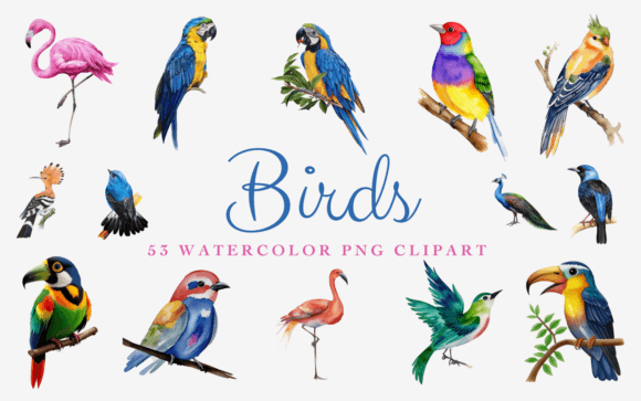 Download 53 Watercolor Birds Premium PNG Clipart - Color Collection